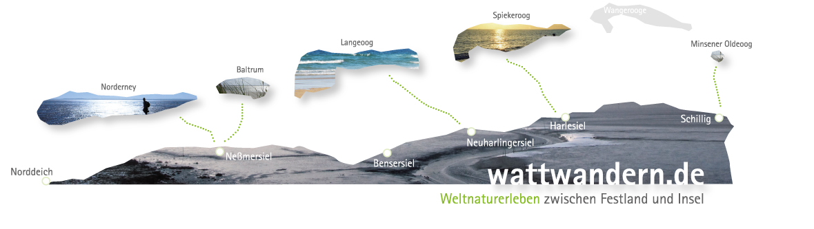 wattwandern.de